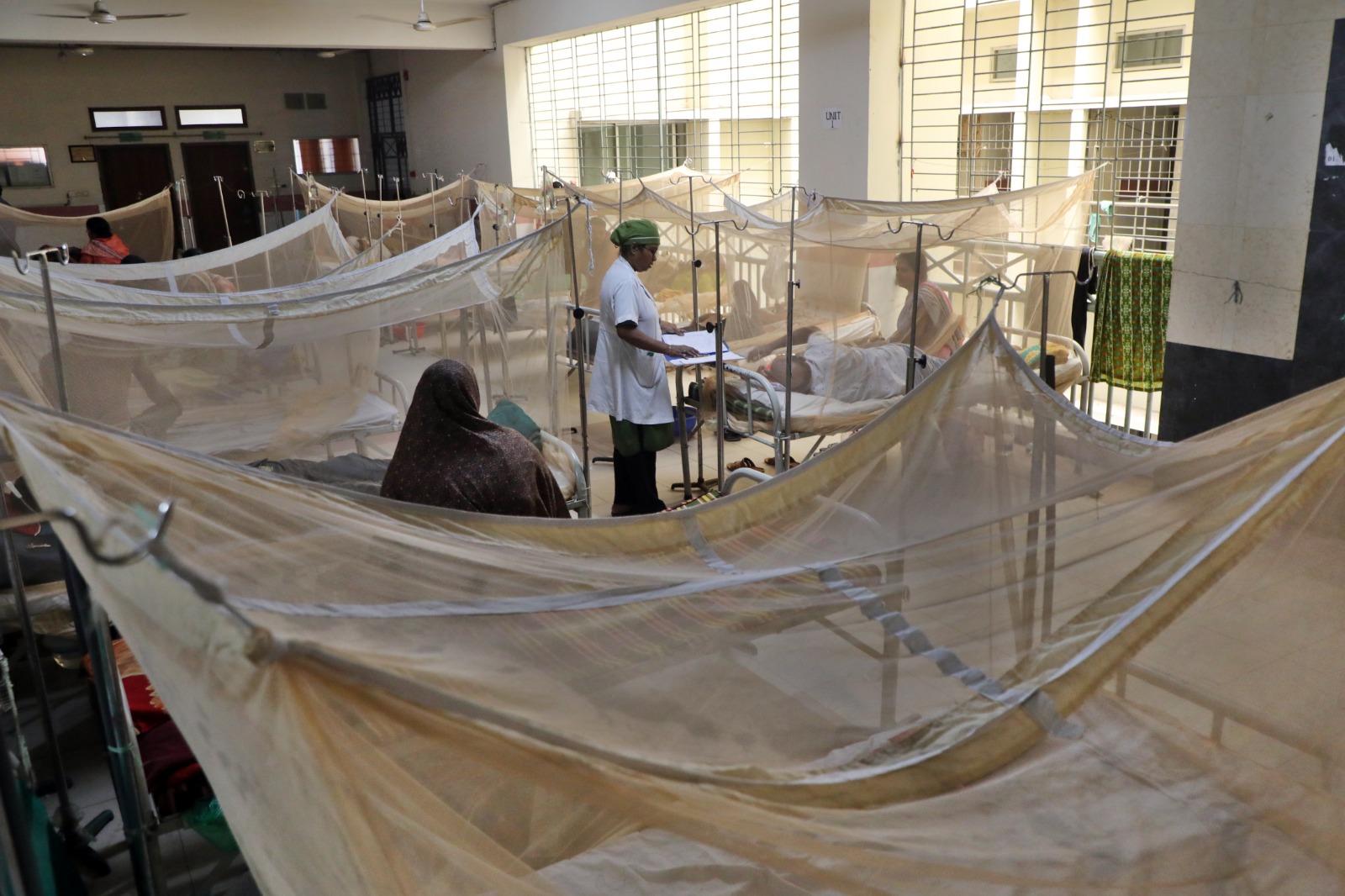 করোনা ও ডেঙ্গু সংক্রমণের ভেতর চিকুনগুনিয়ার চোখরাঙানি, বাড়ছে শঙ্কা