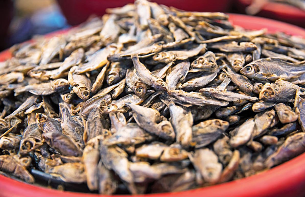 শুঁটকি খাওয়া কি ক্ষতিকর?