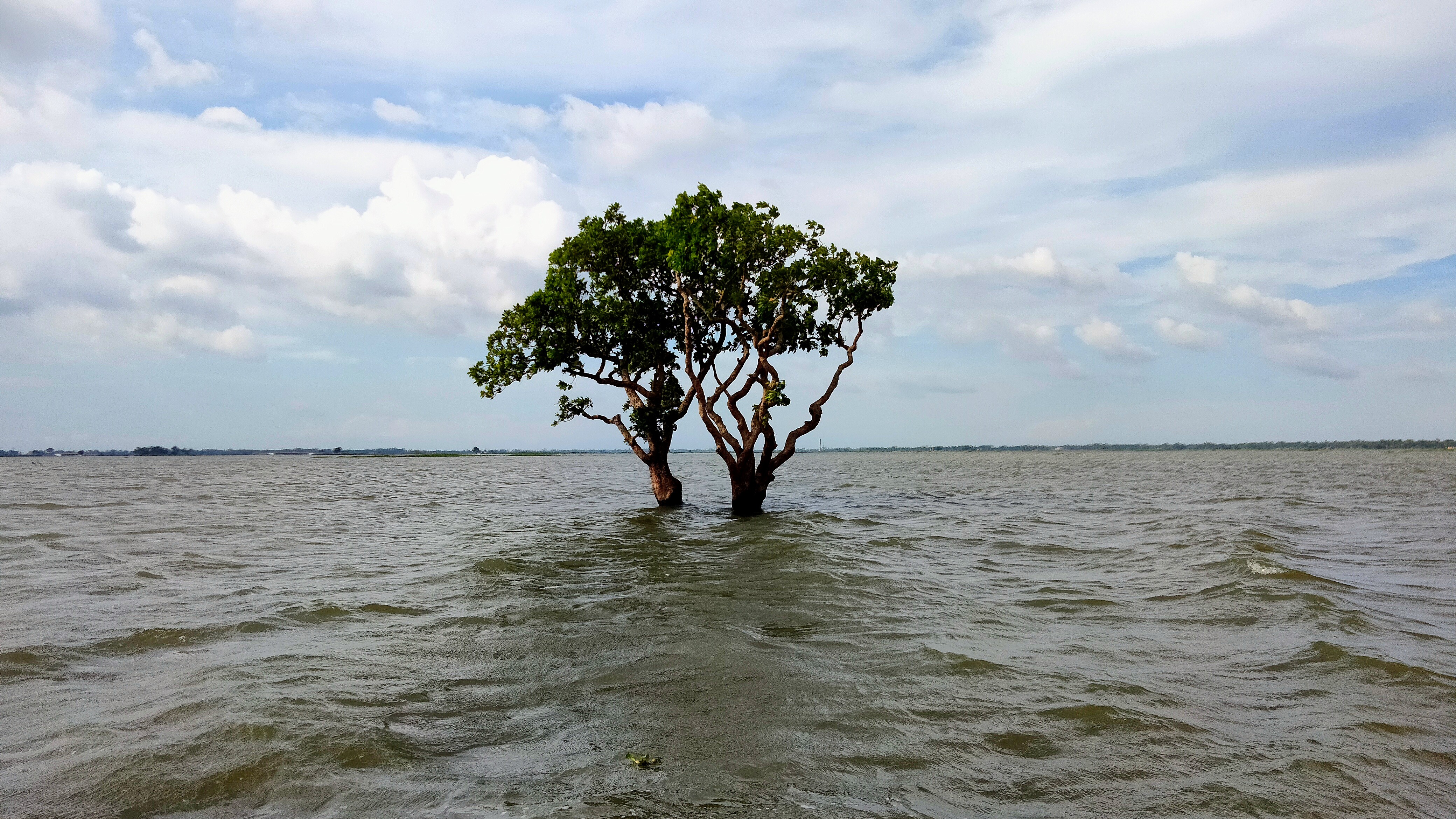 নওগাঁর হাঁসাইগাড়ী বিল: কৃষকবিদ্রোহ থেকে মিনি কক্সবাজারের যাত্রা
