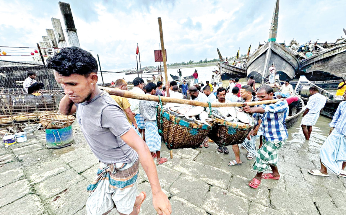 সাগরে ইলিশের আকাল, ট্রলারের খরচের টাকাই উঠছে না জেলেদের