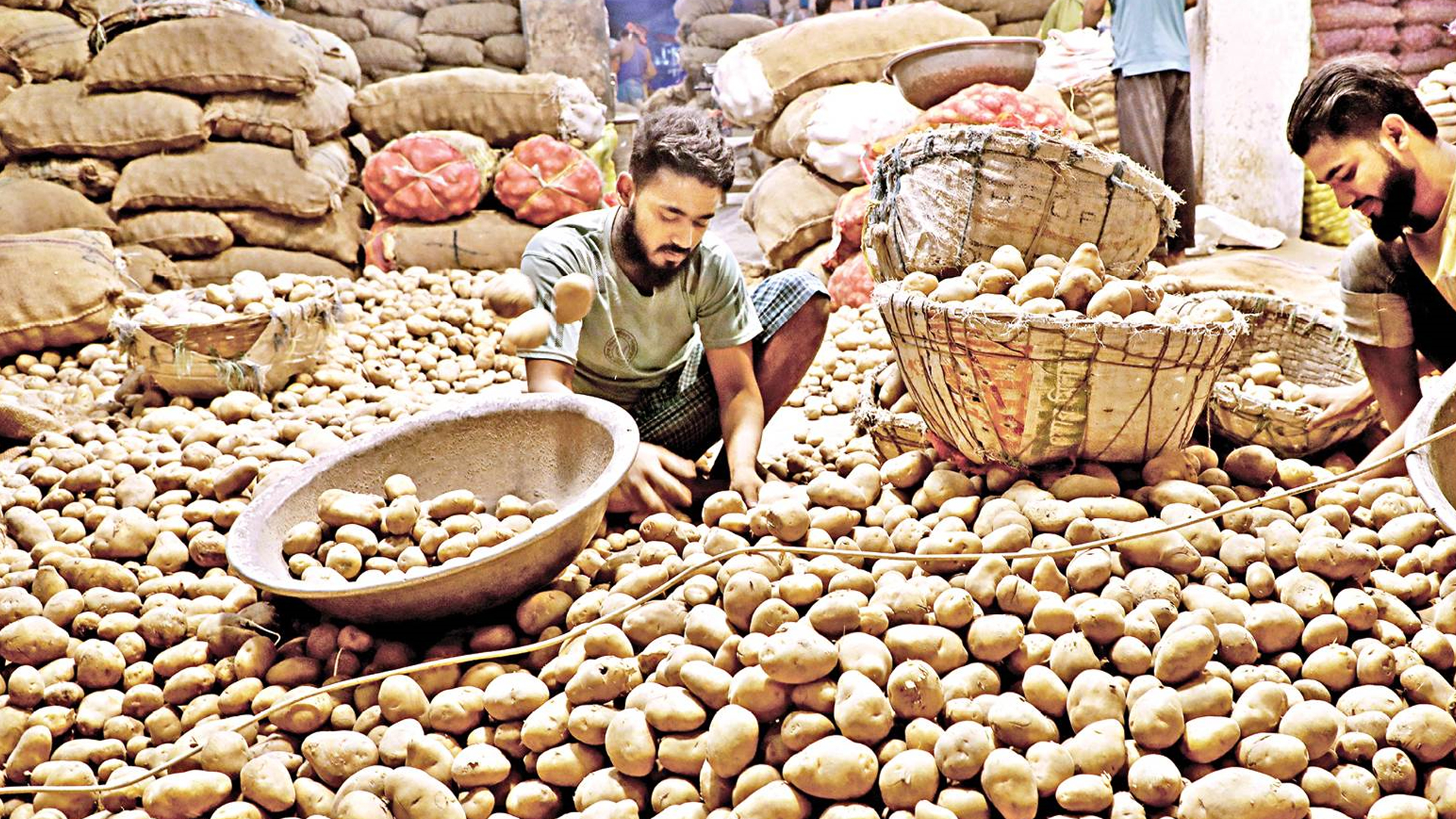 কমতে কমতে ২০ টাকার নিচে আলুর দাম