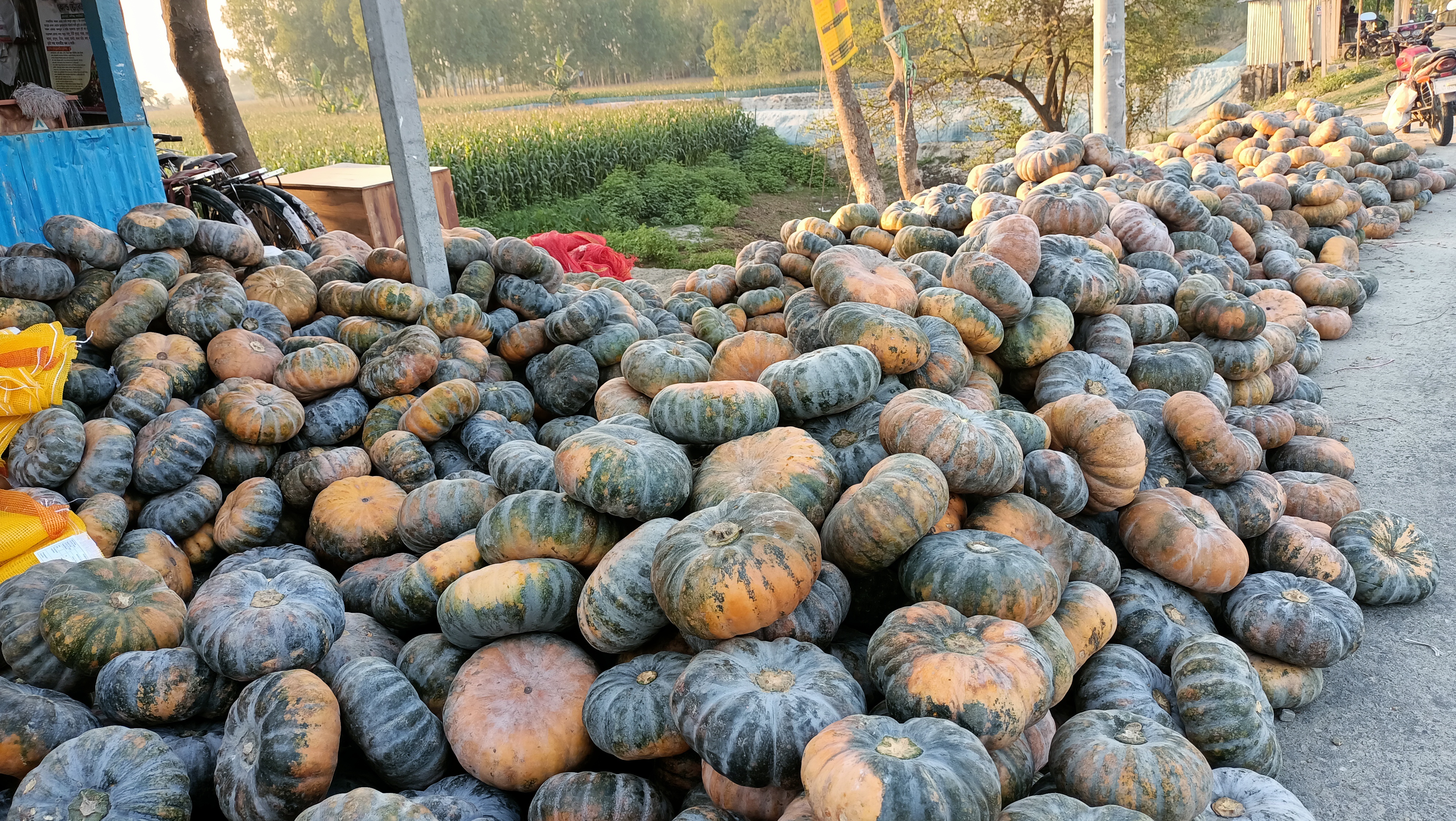 ছবি: এস দিলীপ রায়/ স্টার