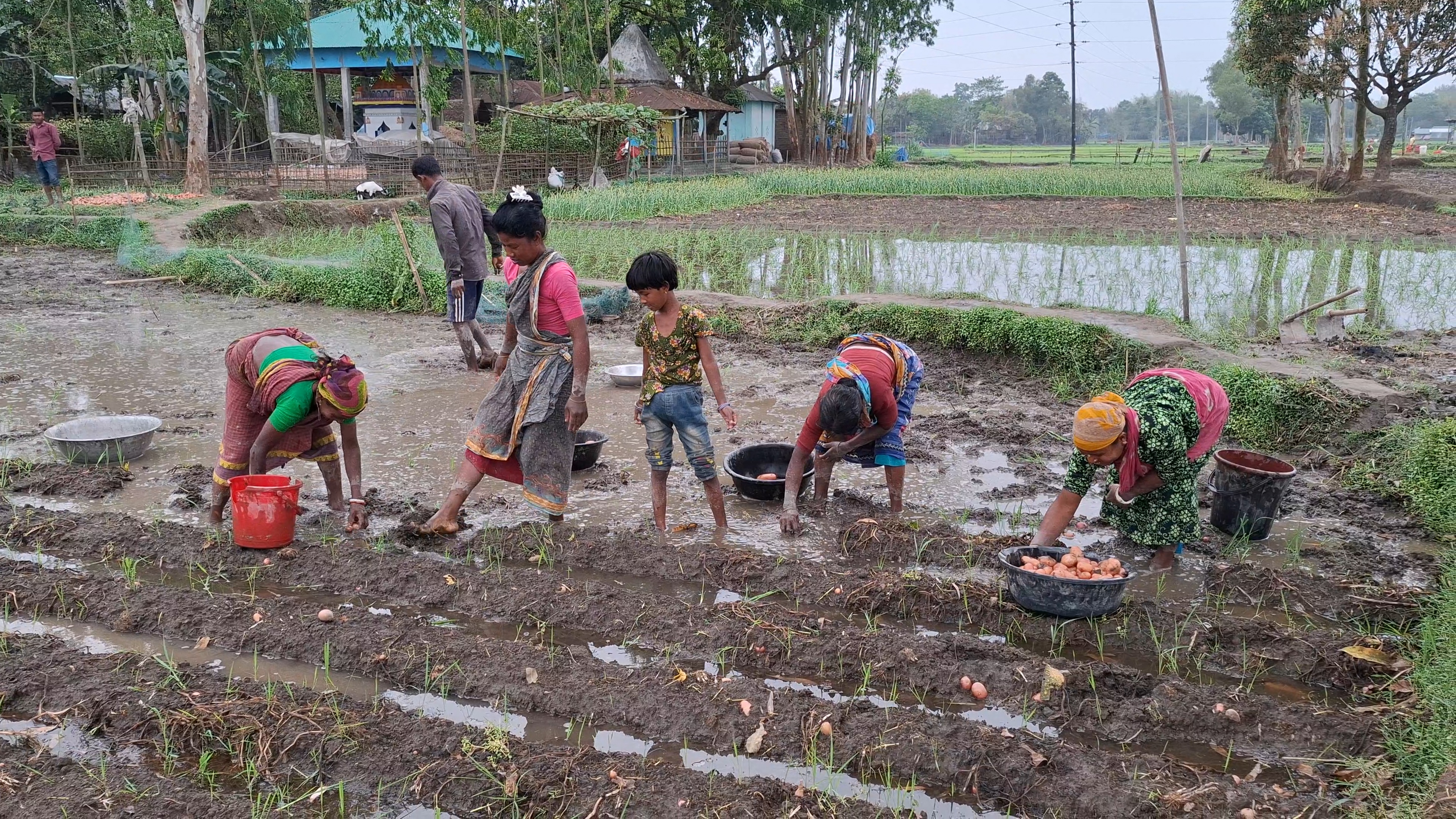 ছবি: স্টার।