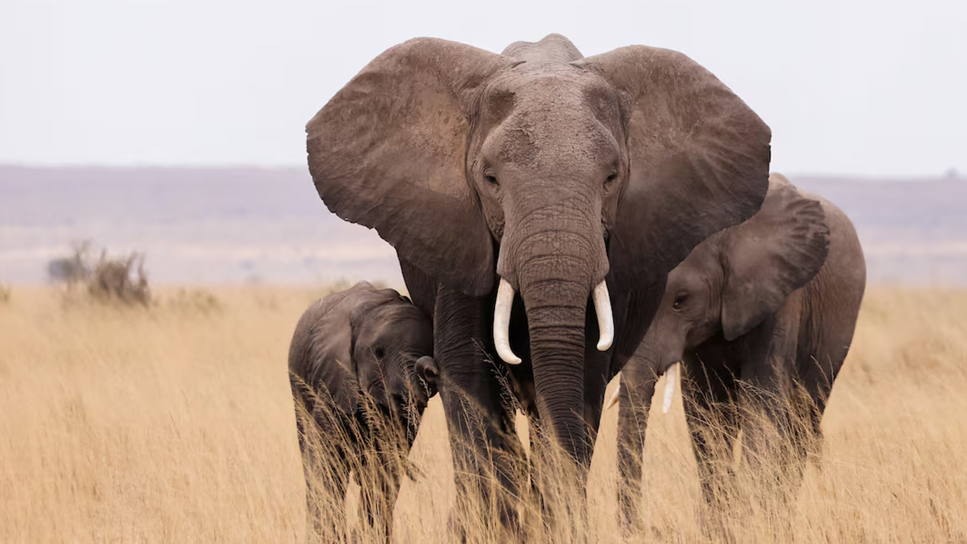 ছবি: রয়টার্স