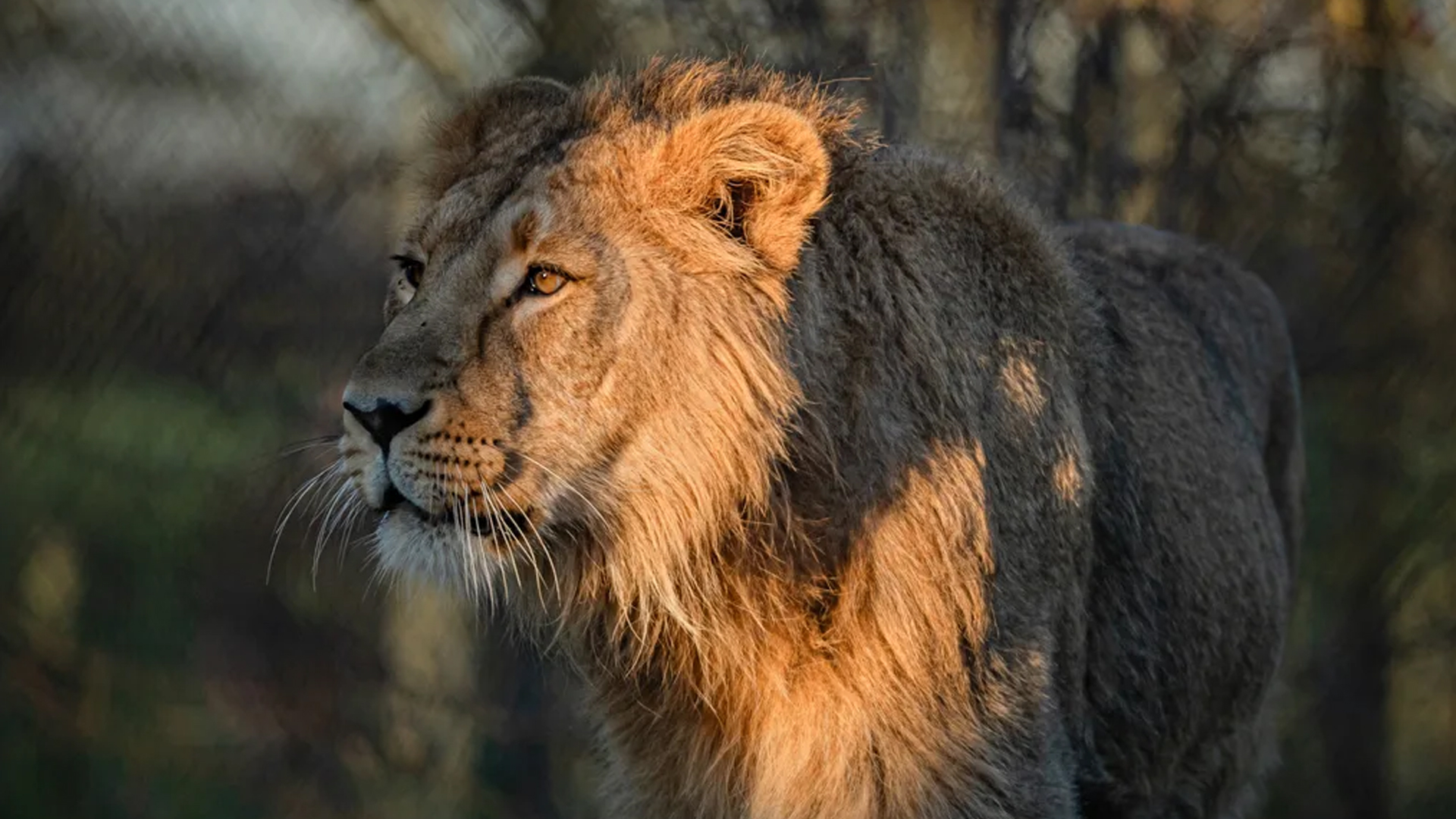 ছবি: রয়টার্স