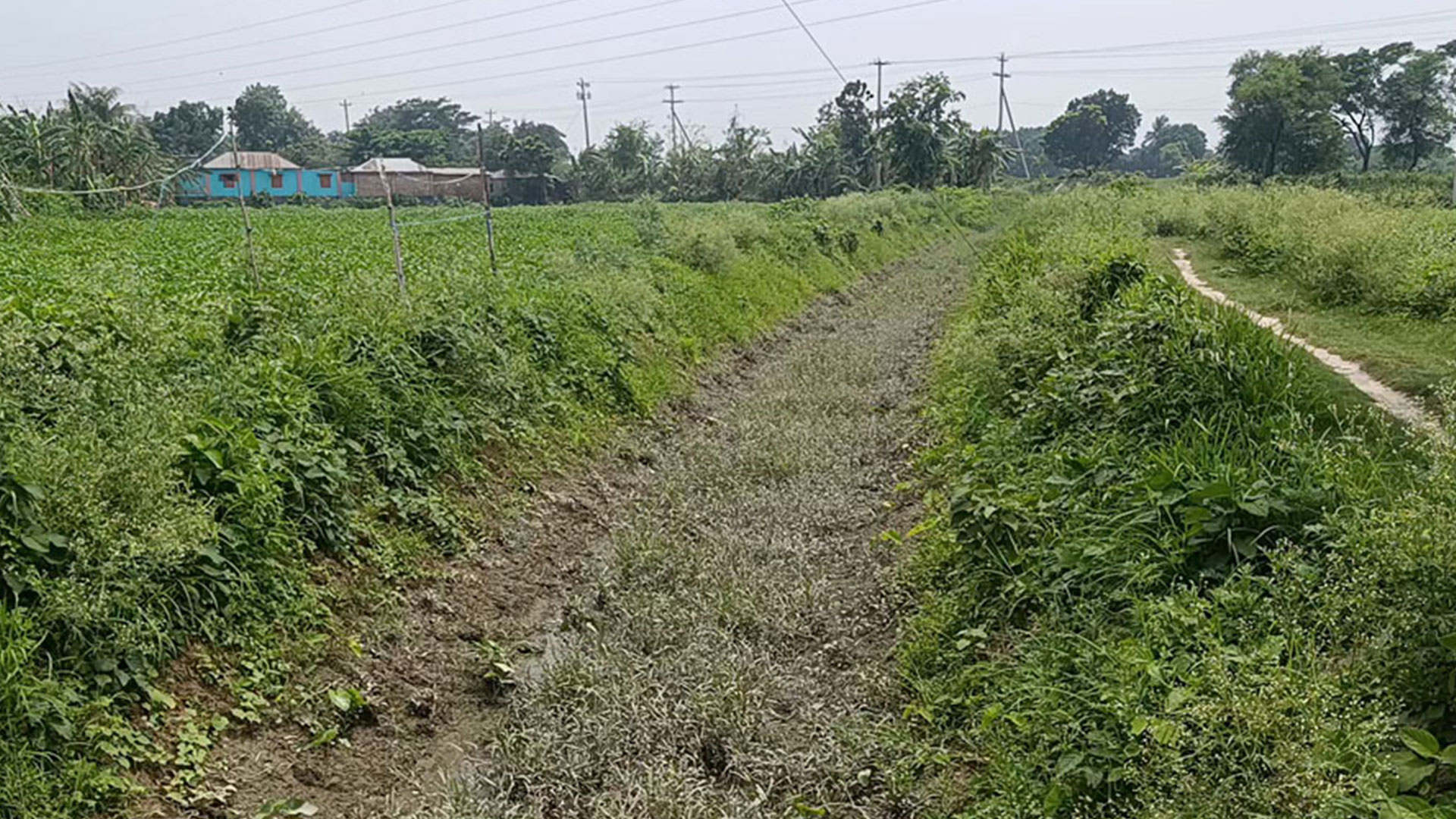 পানিশূন্য প্রশাখা খাল