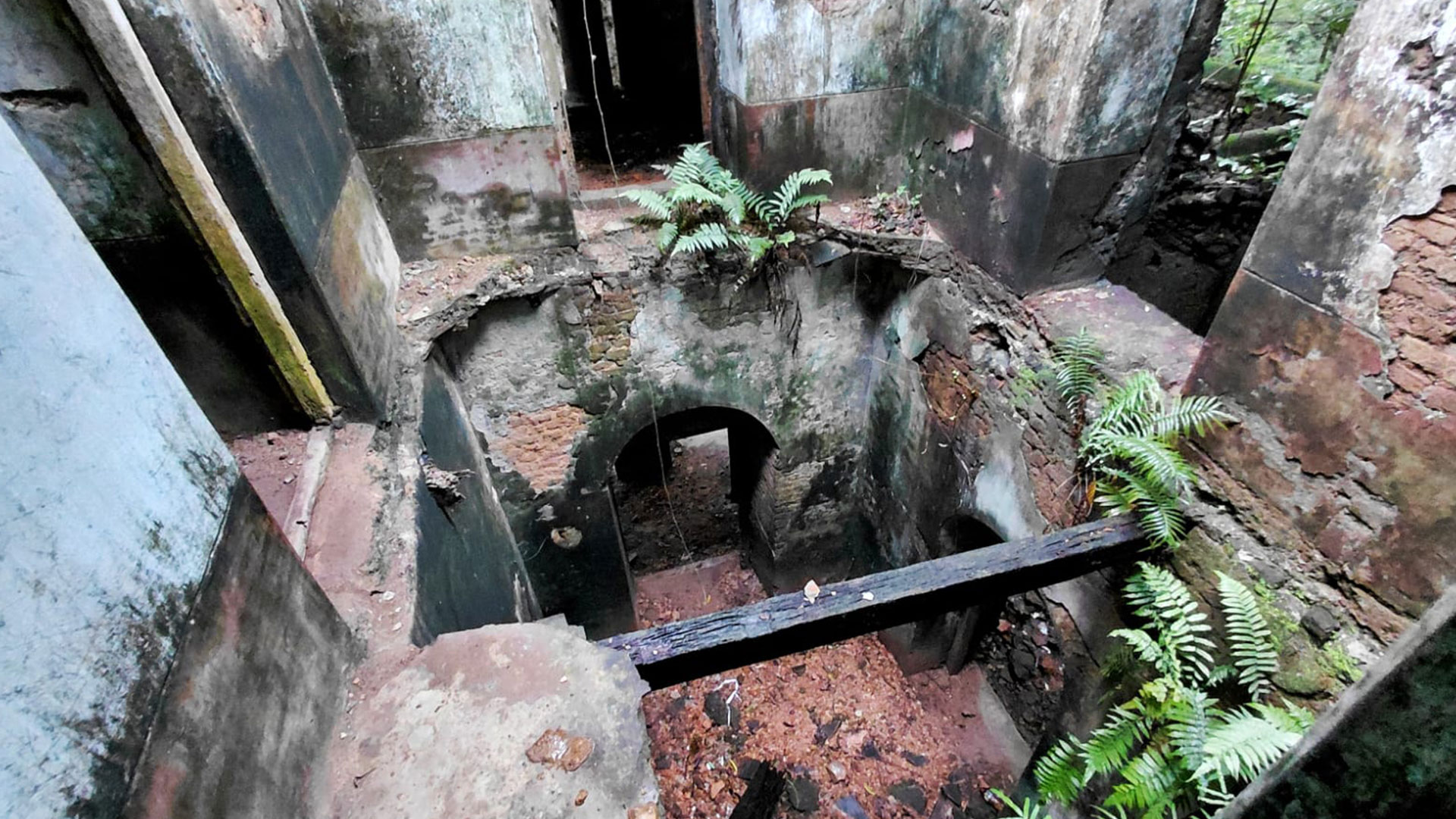 পি সি রায়ের জন্মভিটা