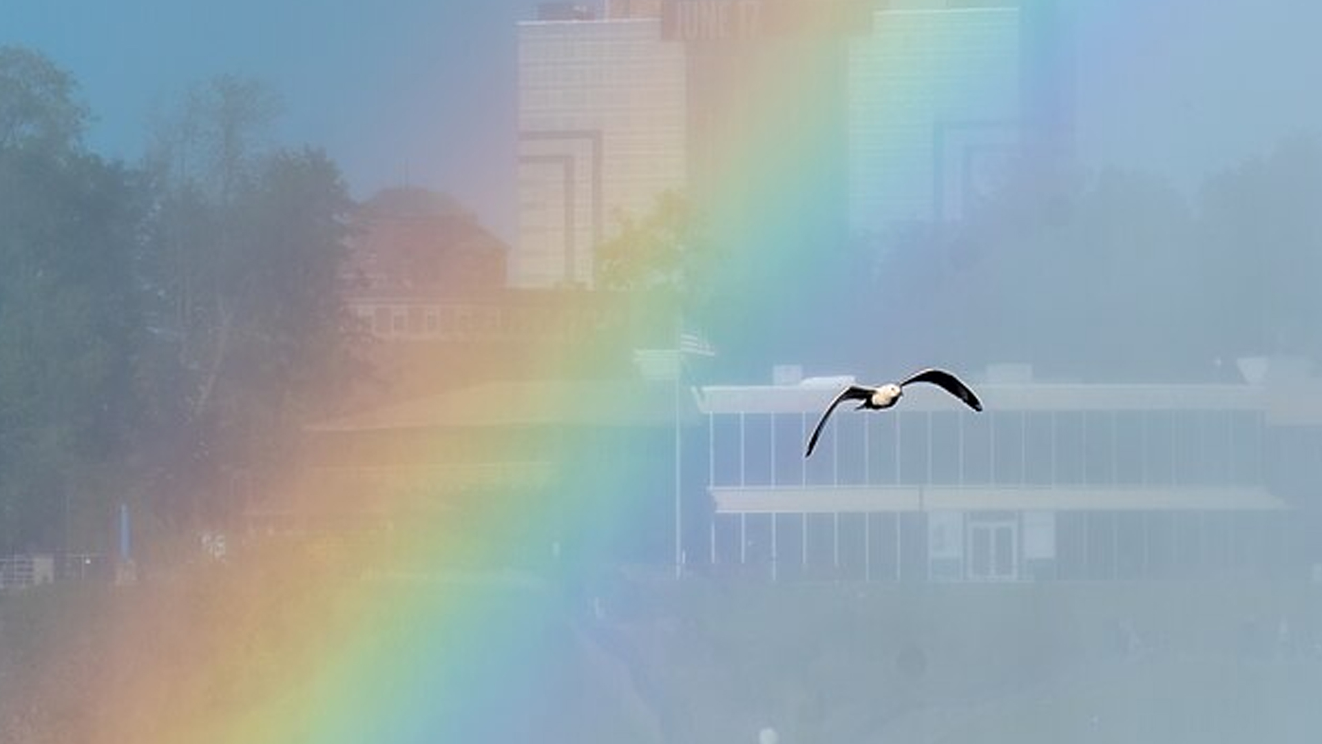 রঙিন রংধনু। ছবি: সংগৃহীত