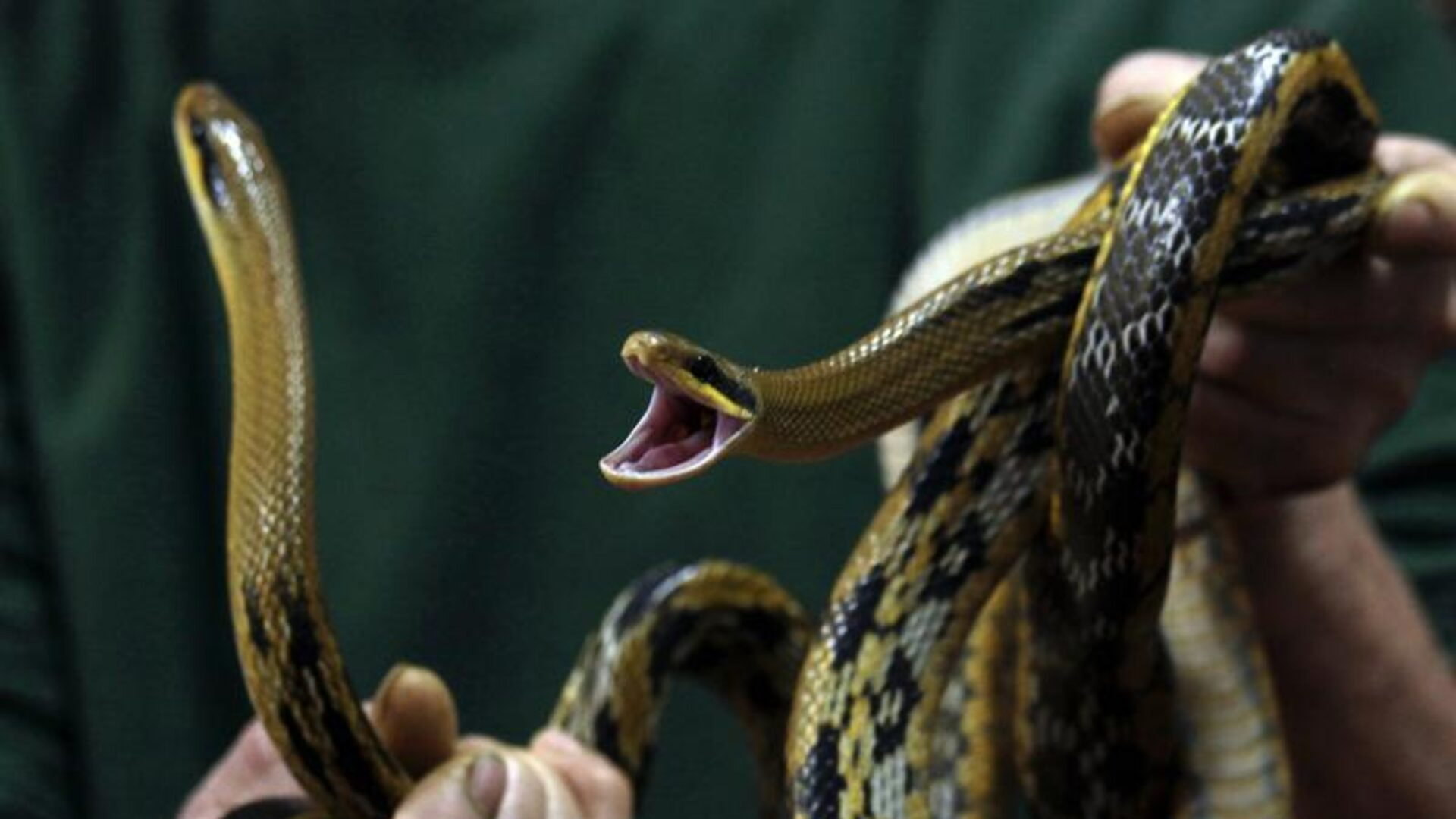 ছবি: রয়টার্স