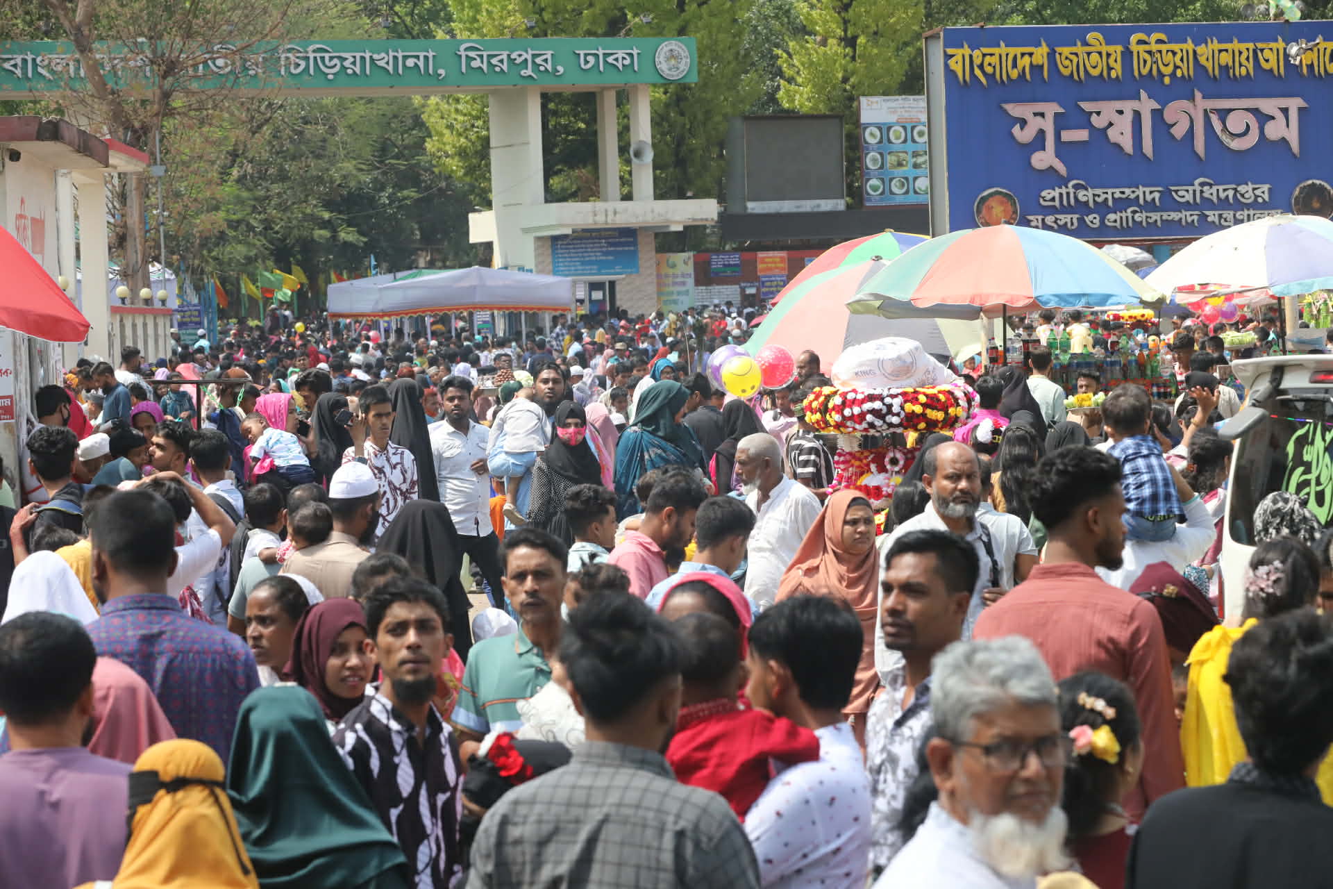 ছবি: প্রবীর দাশ/ স্টার