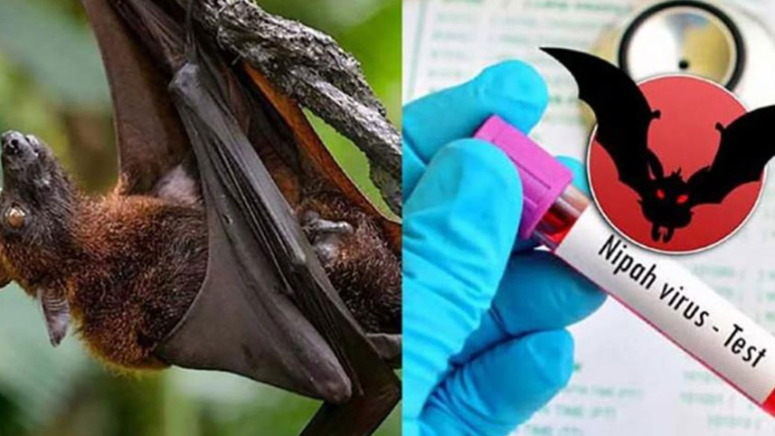 প্রতীকী ছবি