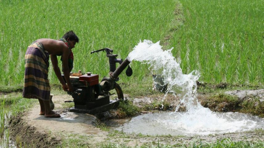 ফাইল ছবি: পলাশ খান 