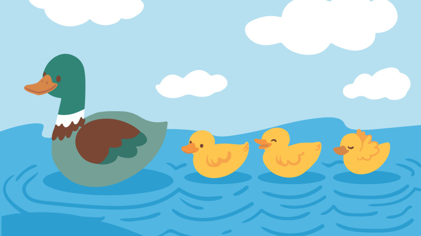 duckling
