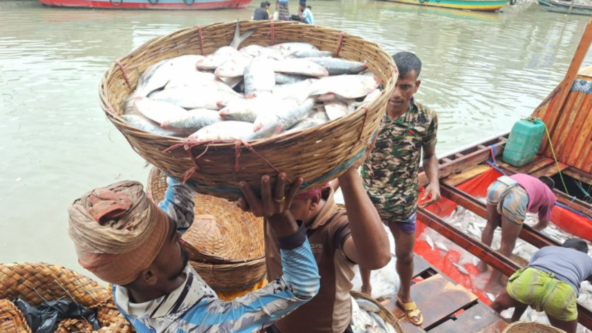 ইলিশ বরিশাল ১