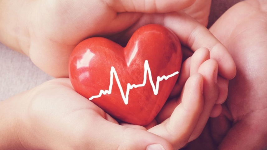 Heart