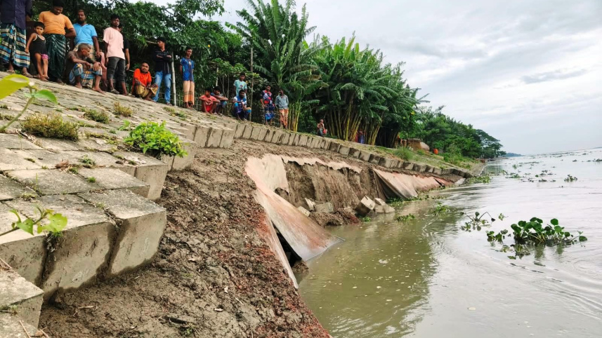 Kurigram dyke collpasing