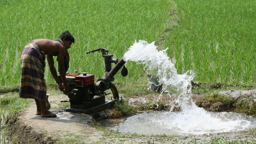 farmer