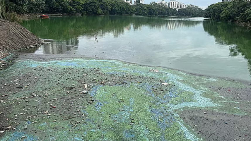  Name gulshan lake