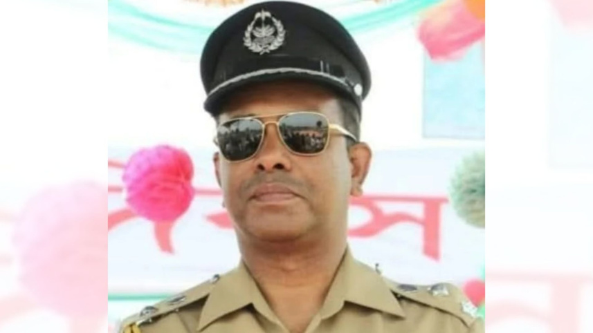 dig tutul