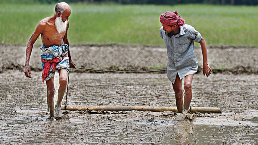 গ্রামীণ জীবন