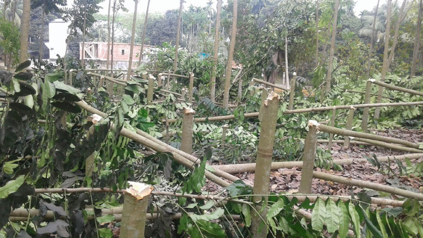 Chandpur Pic 25-03-2017.jpg