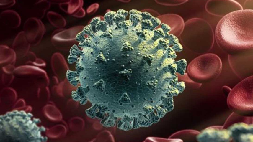 Coronavirus.jpg
