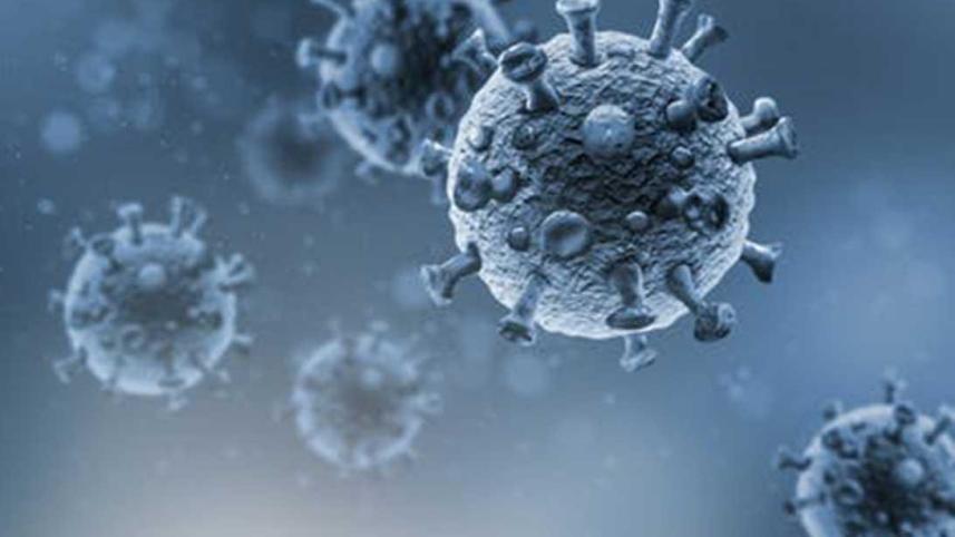 coronavirus_collected_0.jpg
