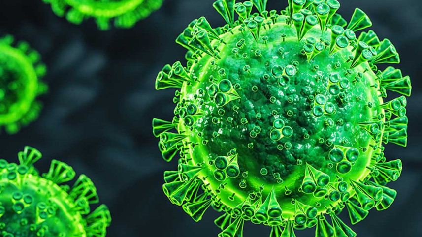 করোনাভাইরাস 