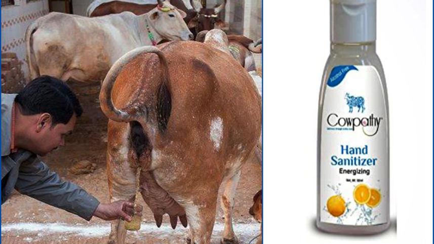 Cow_Sanitizer.jpg