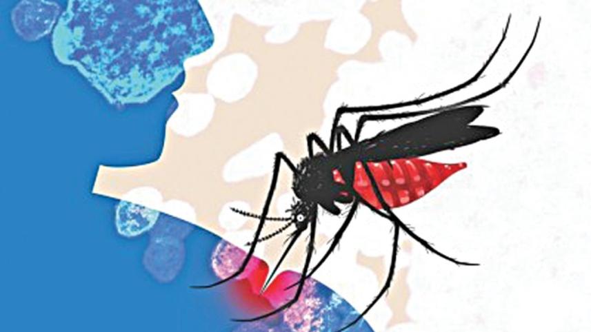 dengue_mosquito_0_0.jpg