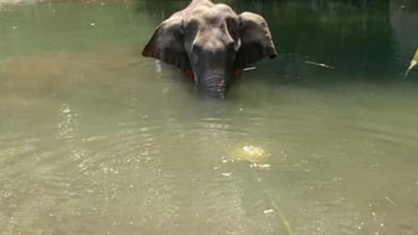 kerala.jpg