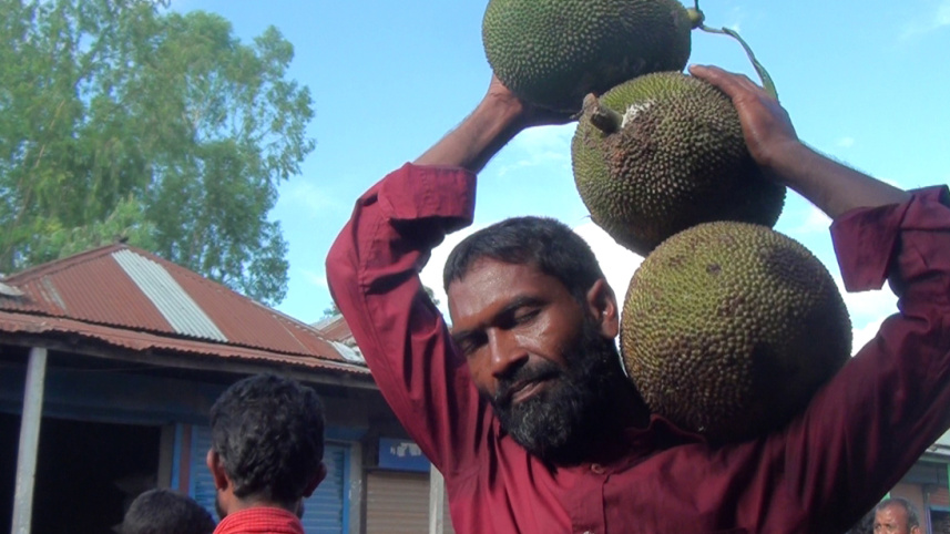 Kurigram jackfruit Aug 17 20.jpg