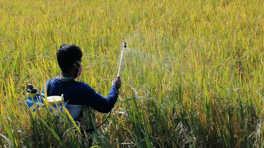 Patuakhali-2.jpg