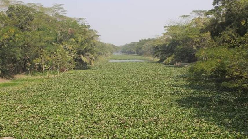 Patuakhali Pic 1016 (09.02.21).jpg