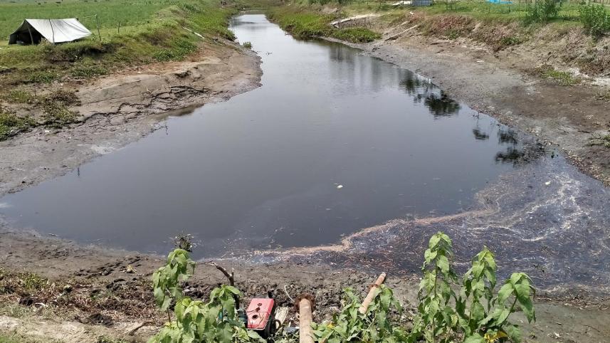 Patuakhali Pic 1160 (15.04.21).jpg