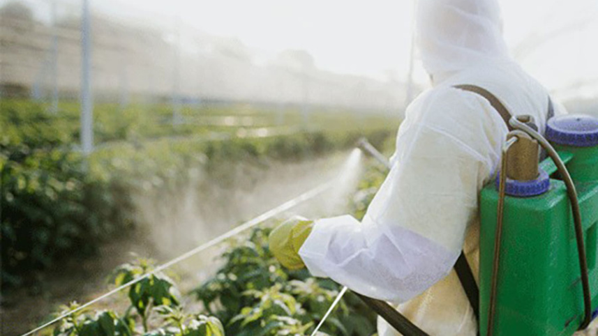 pesticide.jpg