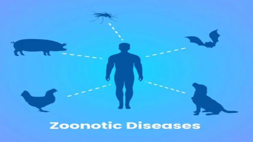 zoonotic_diseases.jpg