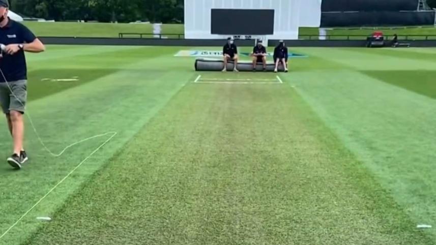 hagley_oval_pitch.jpg