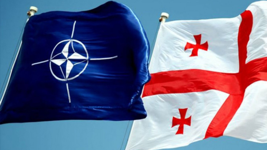 nato_georgia.jpg