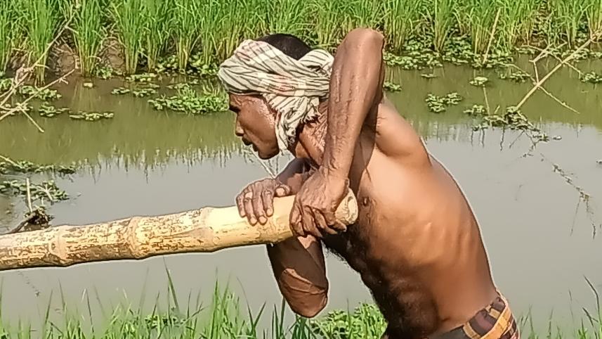 lalmonirhat_farmer-01_1.jpg