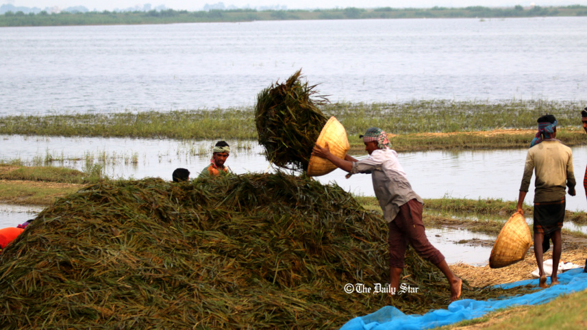 sylhet_haor_flash_flood_2_copy.jpg