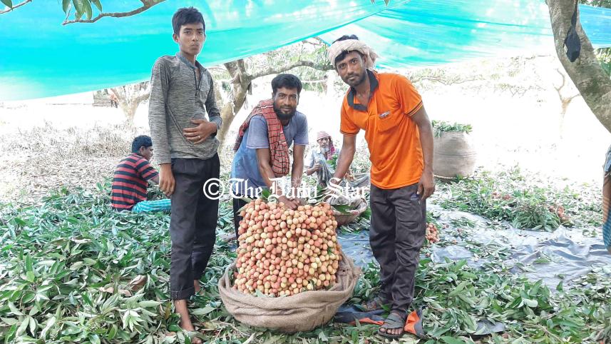 gazipur_litchi.jpg