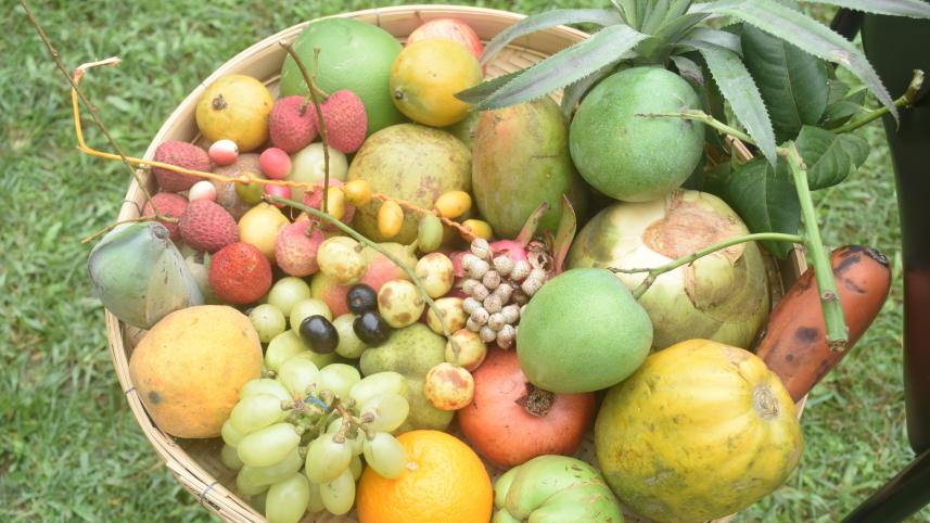 thakurgaon_pic-fruit_festival-03_1.jpg