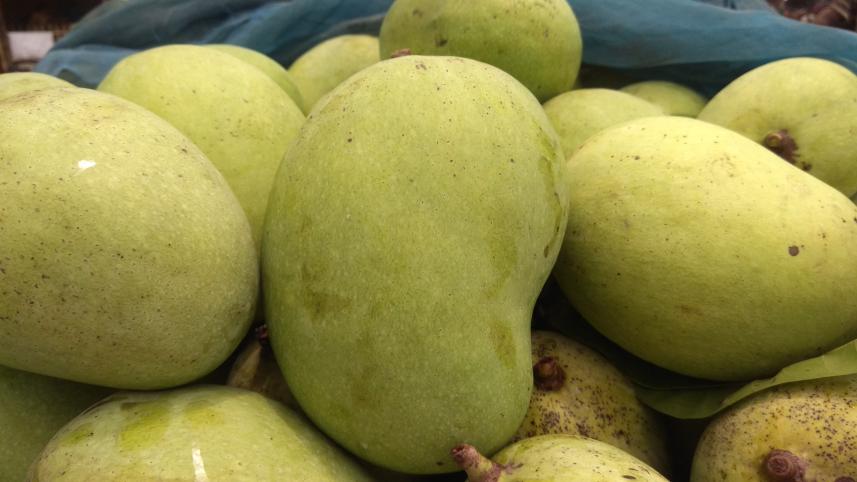 গুটি জাতের আম।