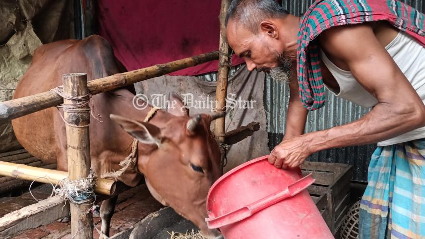 lalmonirhat_cattle_market_2.jpg