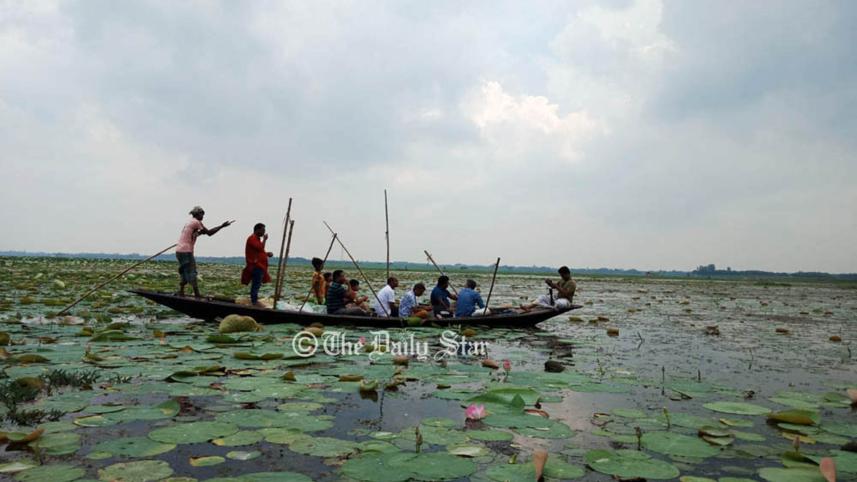 ডিকশির বিল