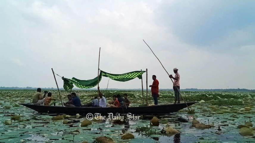 ডিকশির বিল