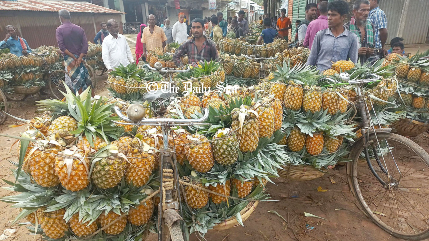 madhupur_pineapple.jpg