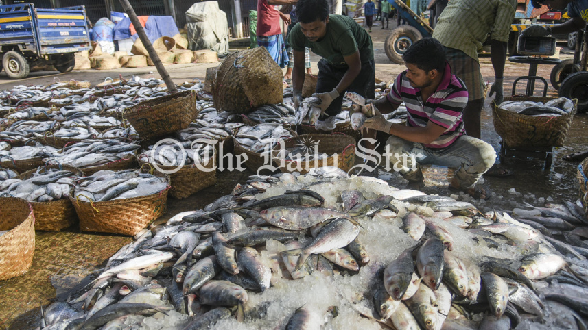 ilish_4.jpg