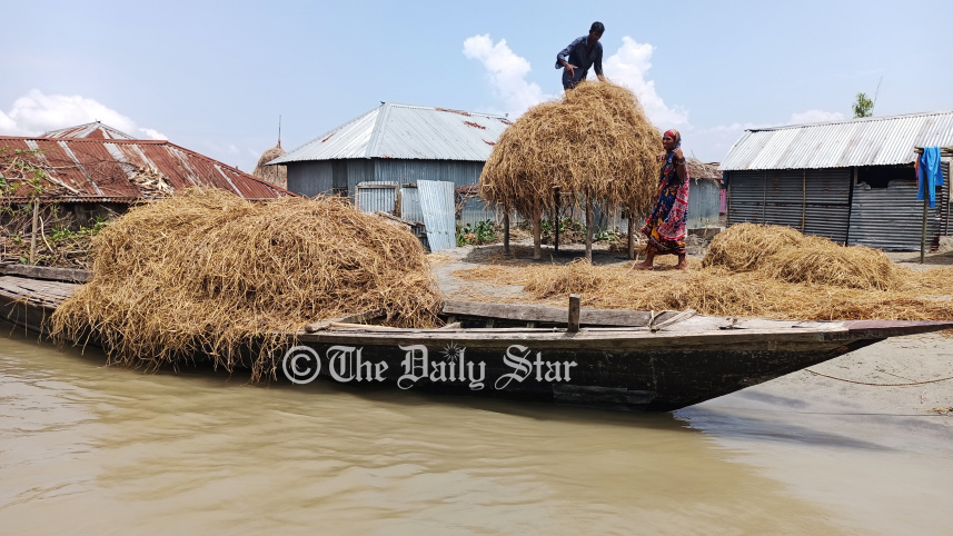 লালমনিরহাট খড়